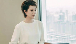 海清演的电视剧有哪些,一部部经典剧集见证成长与蜕变